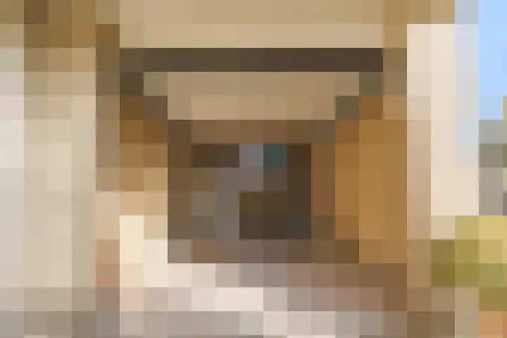 De Bouw 29 Bovenkarspel thumbnail 45