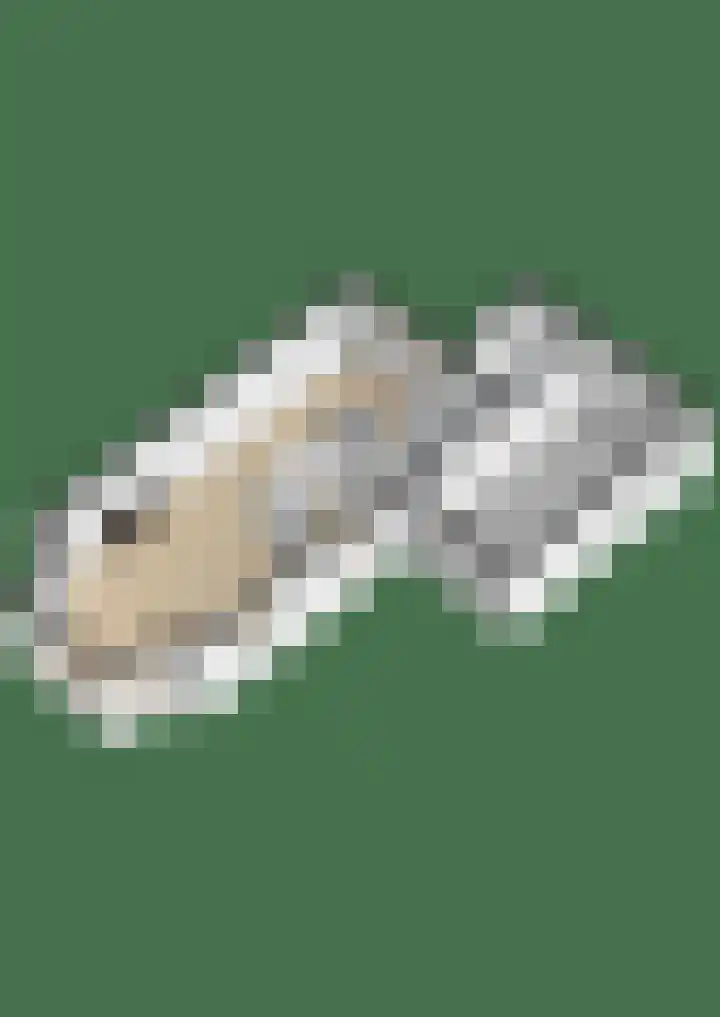 De Bouw 29 Bovenkarspel thumbnail 53
