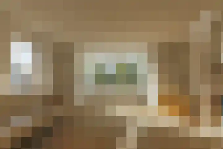 De Bouw 29 Bovenkarspel thumbnail 8