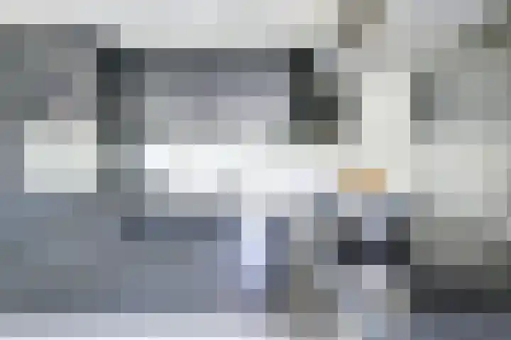 De Bouw 35 Houten thumbnail 10
