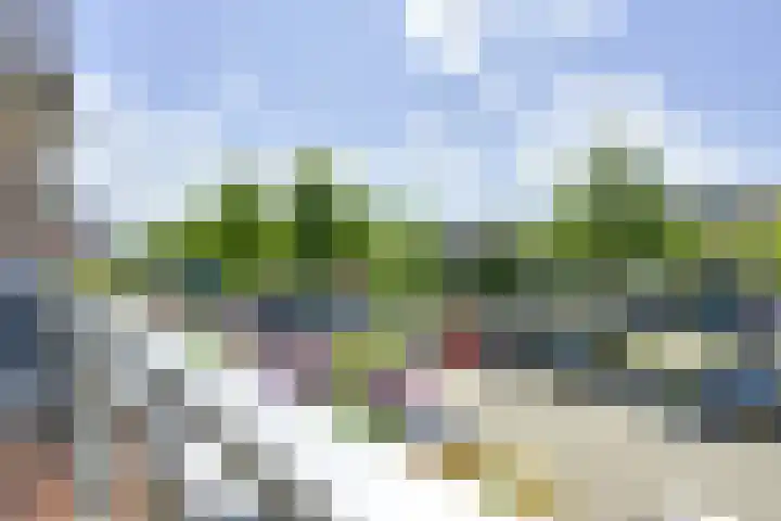 De Bouw 35 Houten thumbnail 11