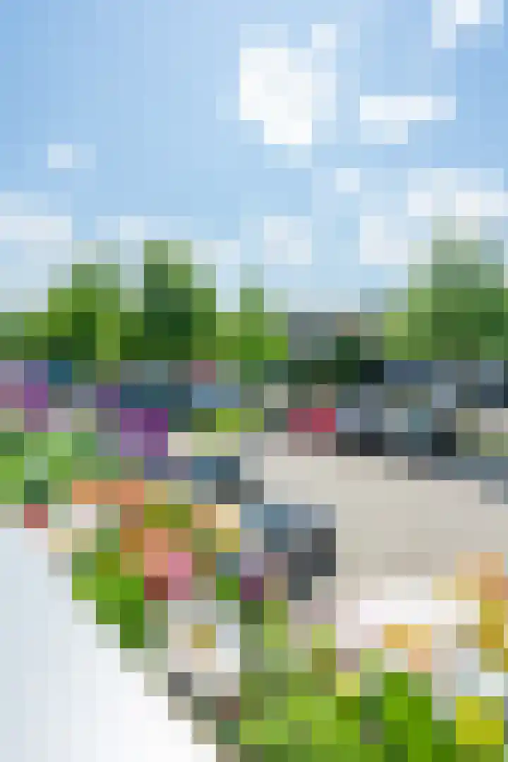 De Bouw 35 Houten thumbnail 13