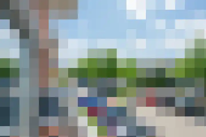 De Bouw 35 Houten thumbnail 14