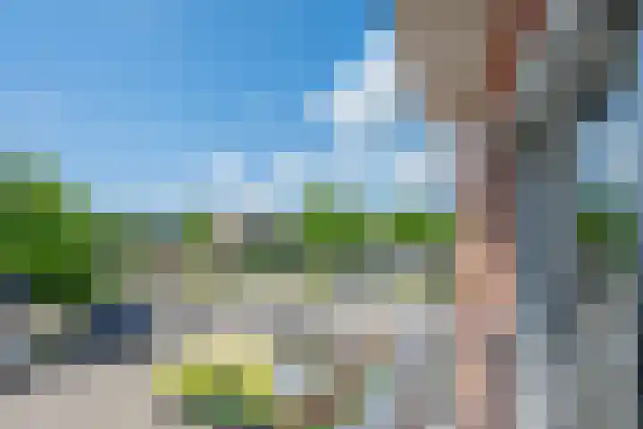 De Bouw 35 Houten thumbnail 15