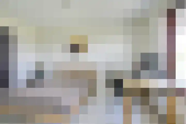De Bouw 35 Houten thumbnail 16
