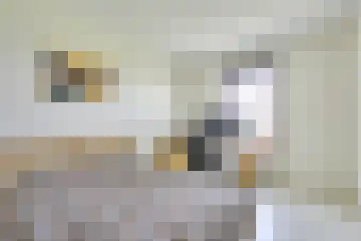 De Bouw 35 Houten thumbnail 18