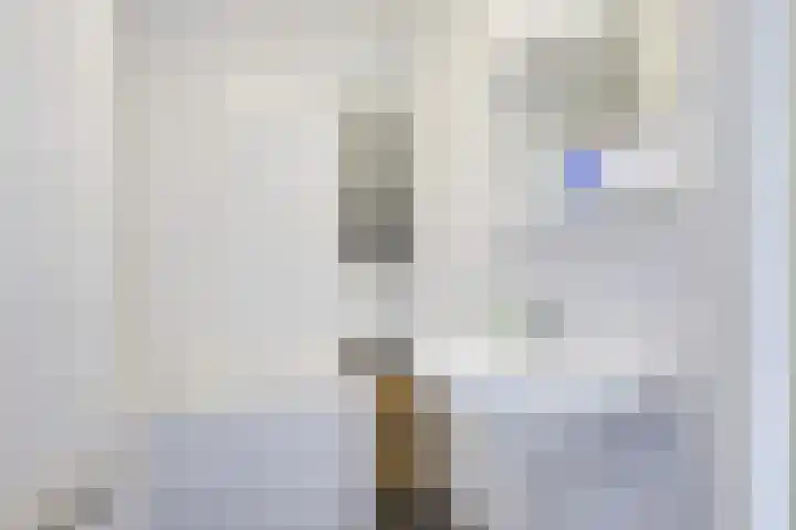 De Bouw 35 Houten thumbnail 19