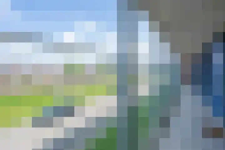 De Bouw 35 Houten thumbnail 23