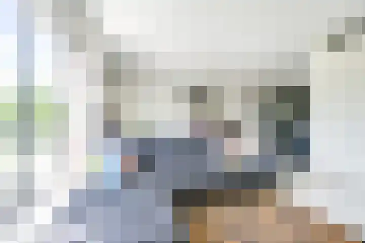 De Bouw 35 Houten thumbnail 4
