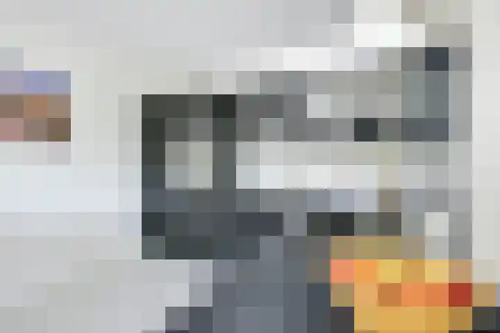 De Bouw 35 Houten thumbnail 8