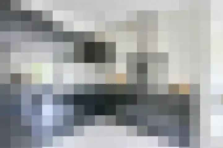 De Bouw 35 Houten thumbnail 9