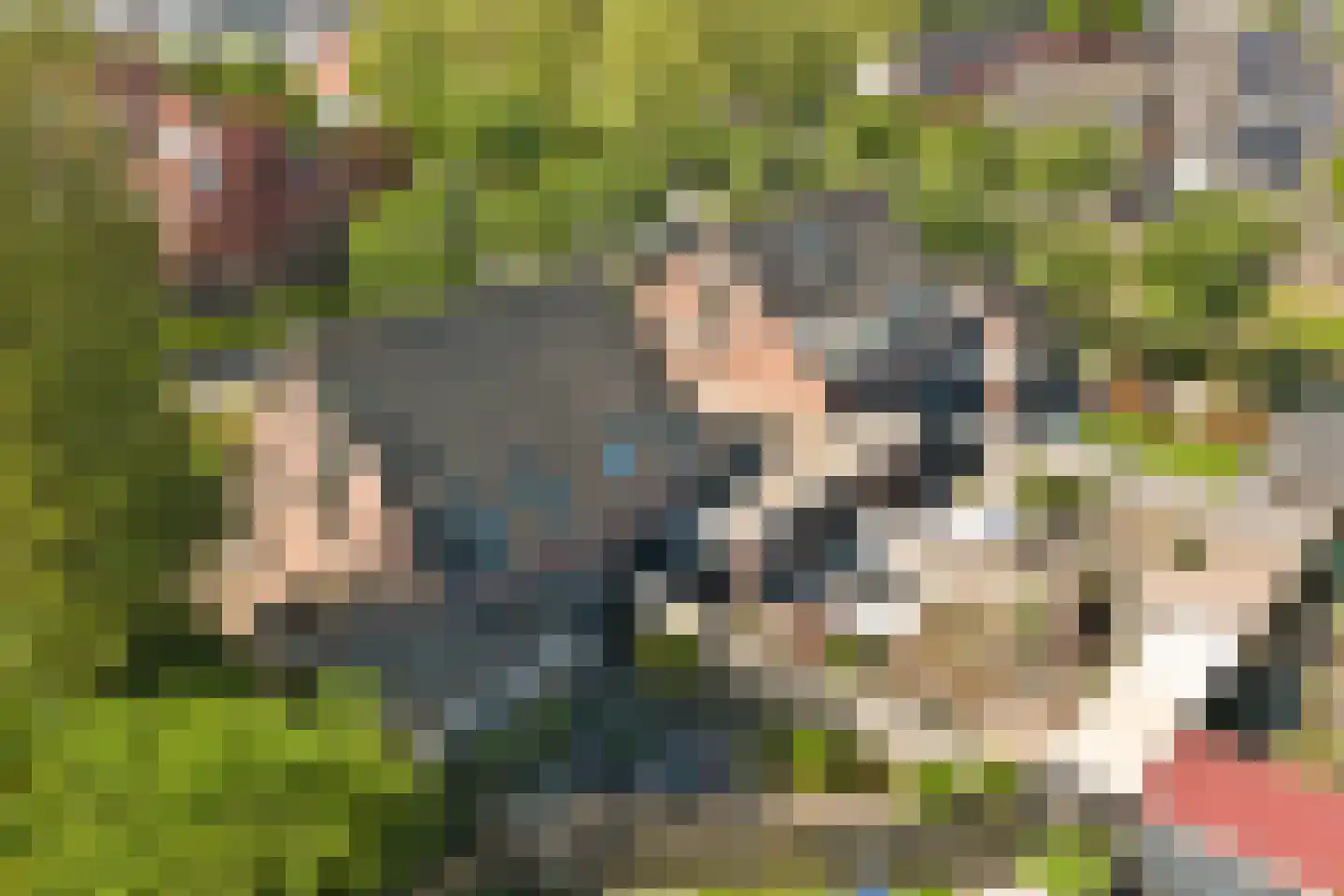 De Bouw 37 Bovenkarspel thumbnail 35