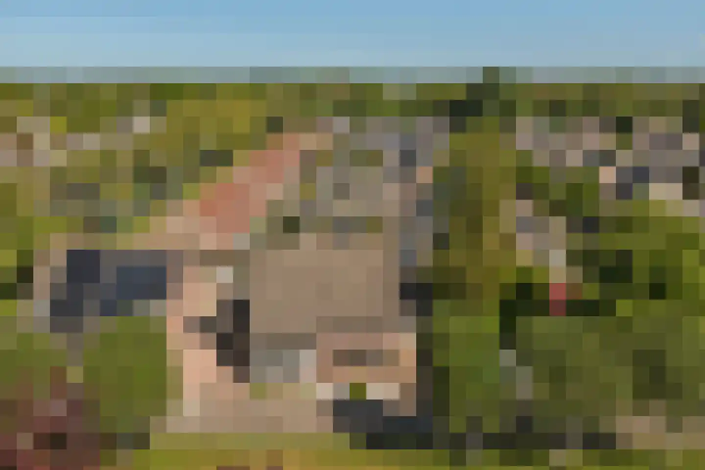 De Bouw 37 Bovenkarspel thumbnail 4