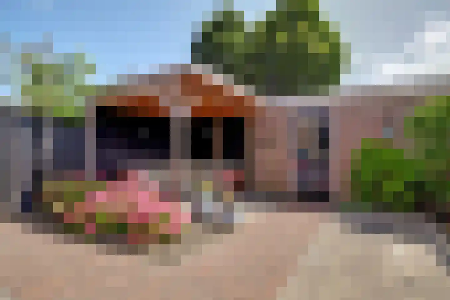 De Bouw 46 Bovenkarspel thumbnail 19