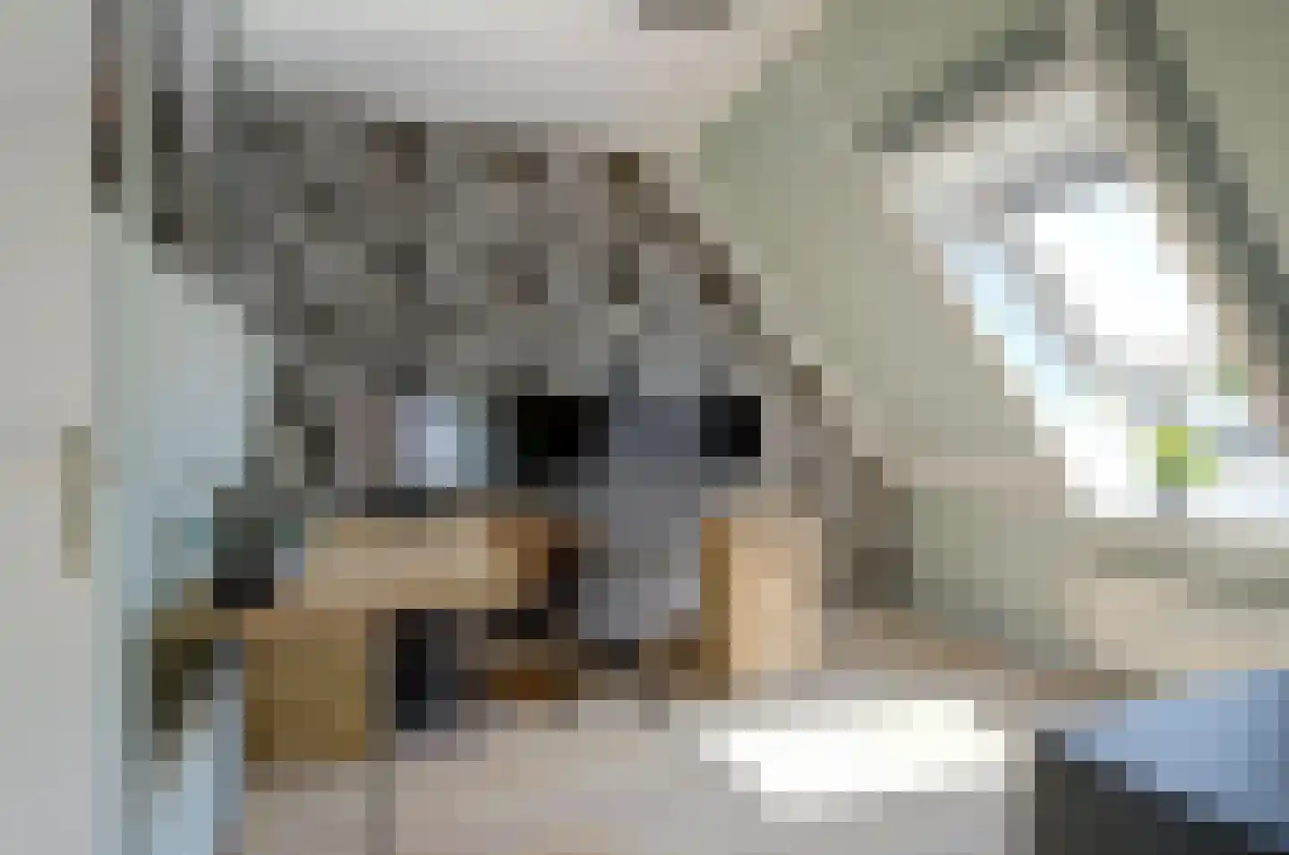 De Bouw 46 Bovenkarspel thumbnail 30