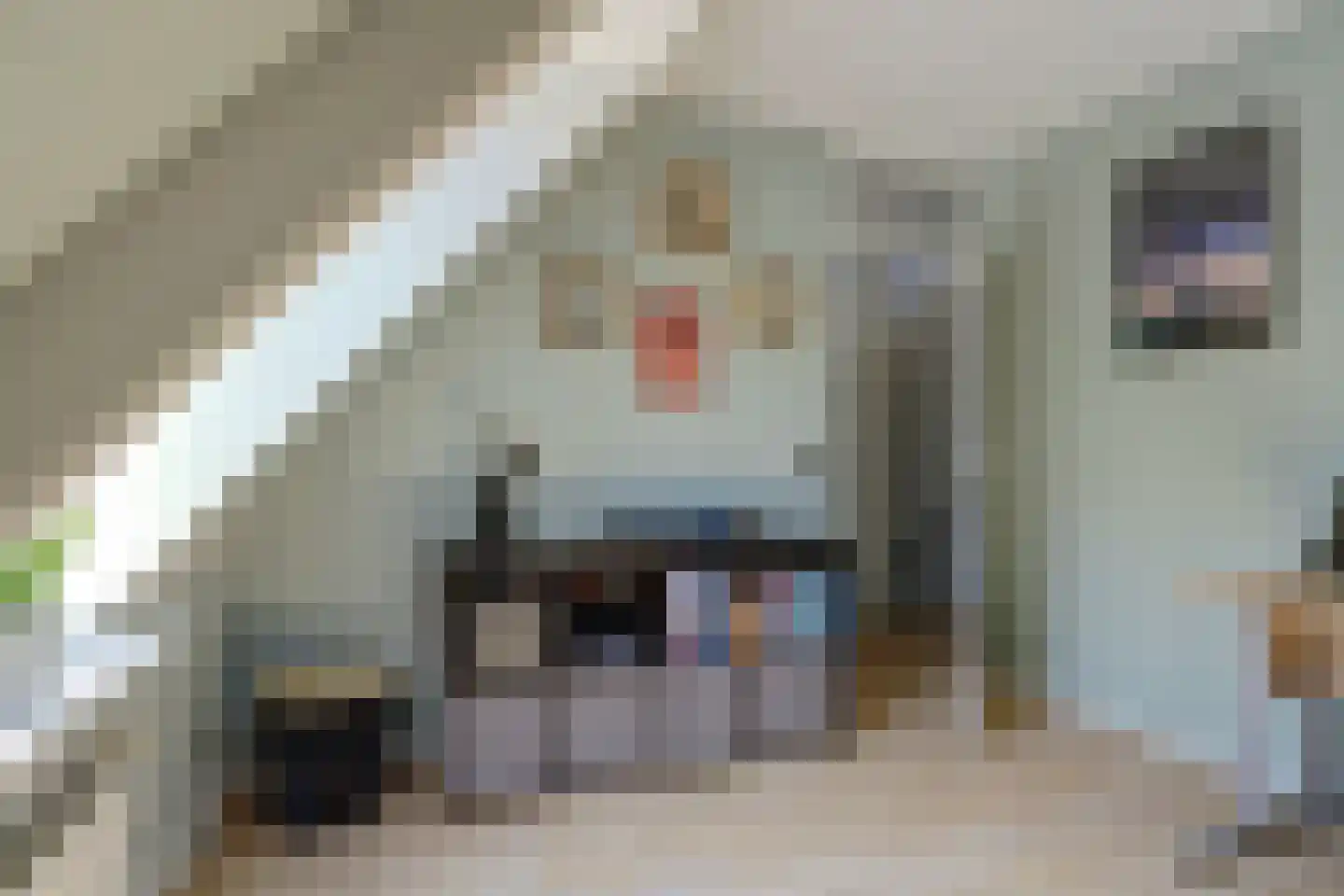 De Bouw 46 Bovenkarspel thumbnail 31
