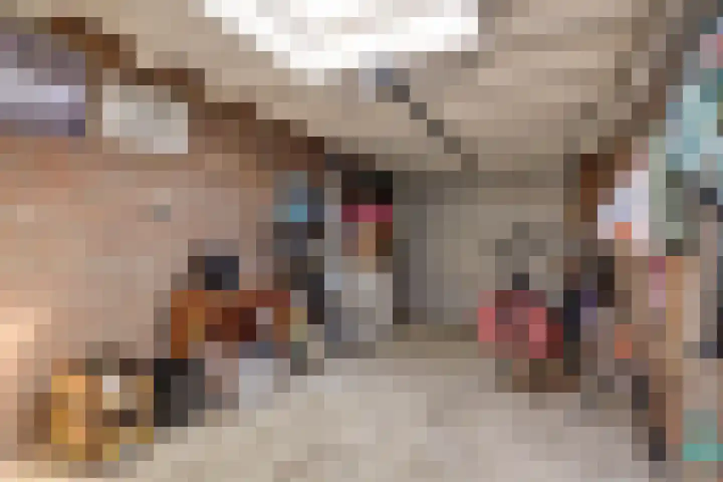 De Bouw 46 Bovenkarspel thumbnail 43