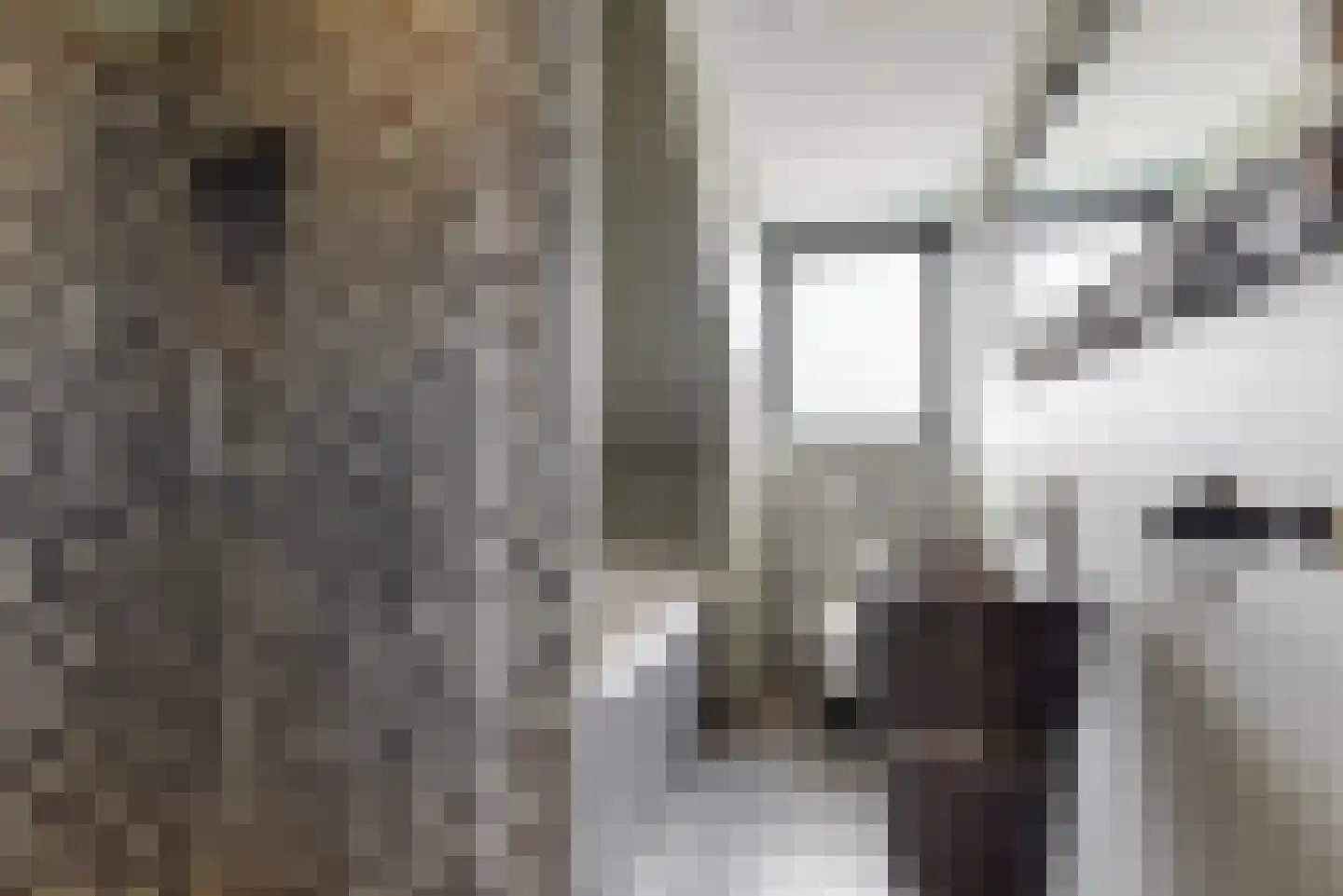 De Bouw 80 Bovenkarspel thumbnail 18