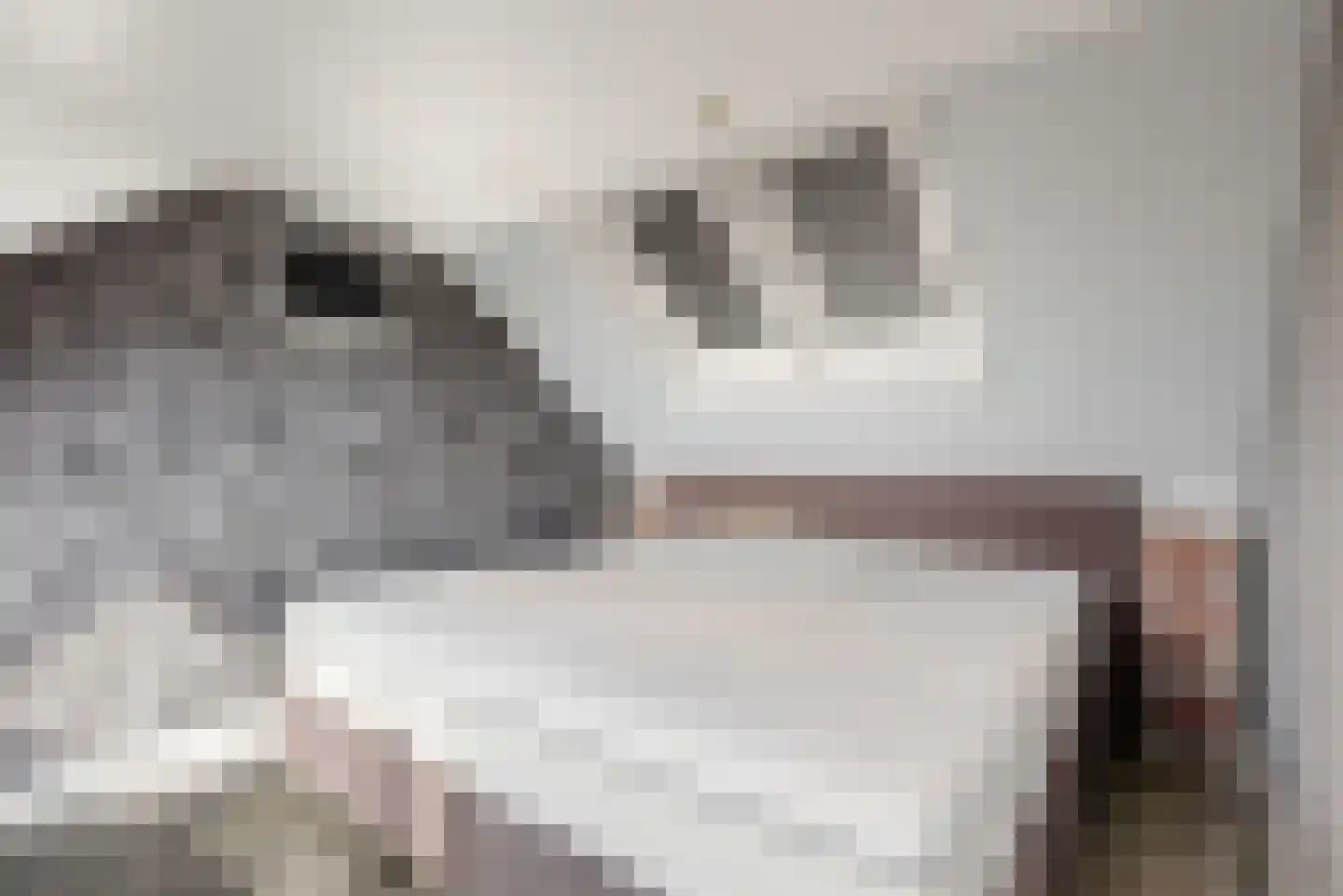 De Bouw 80 Bovenkarspel thumbnail 22