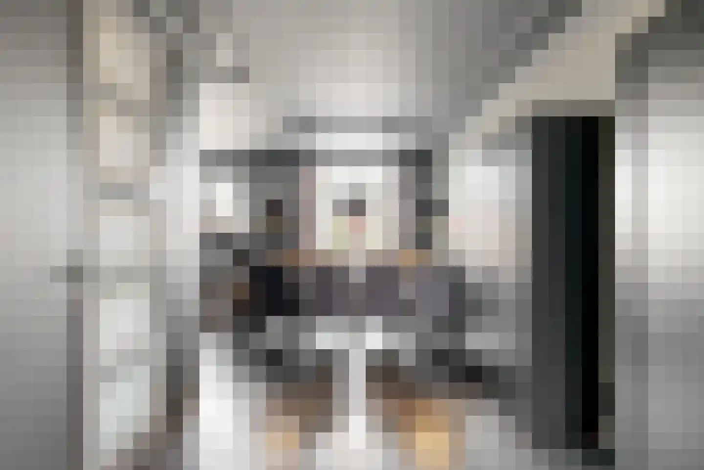 De Bouw 80 Bovenkarspel thumbnail 8