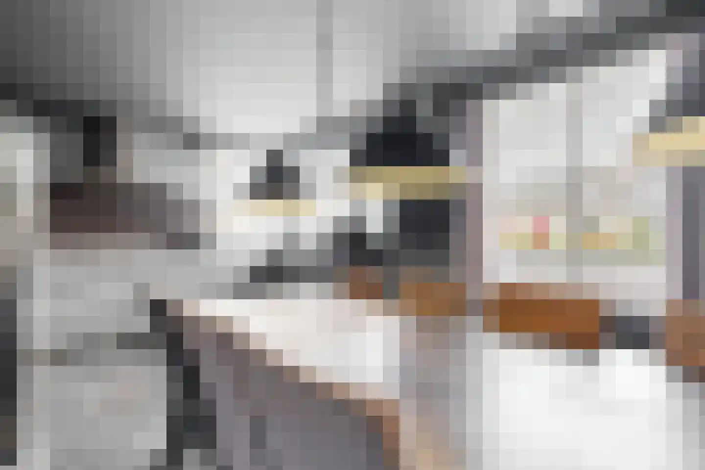 De Bouw 80 Bovenkarspel thumbnail 9