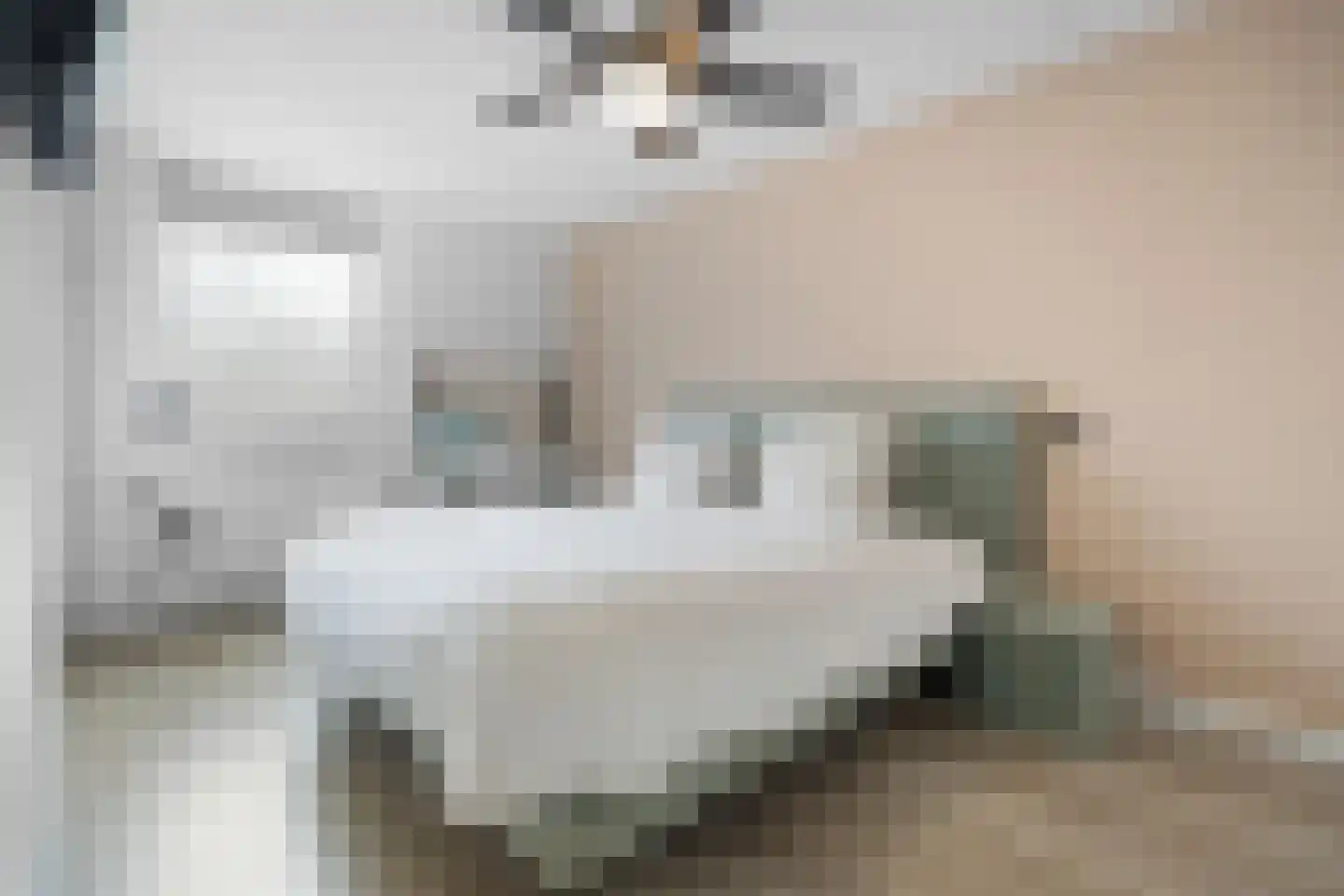 De Bouwert 13 Heteren thumbnail 22