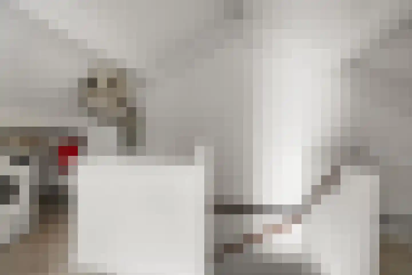 De Bouwert 13 Heteren thumbnail 31