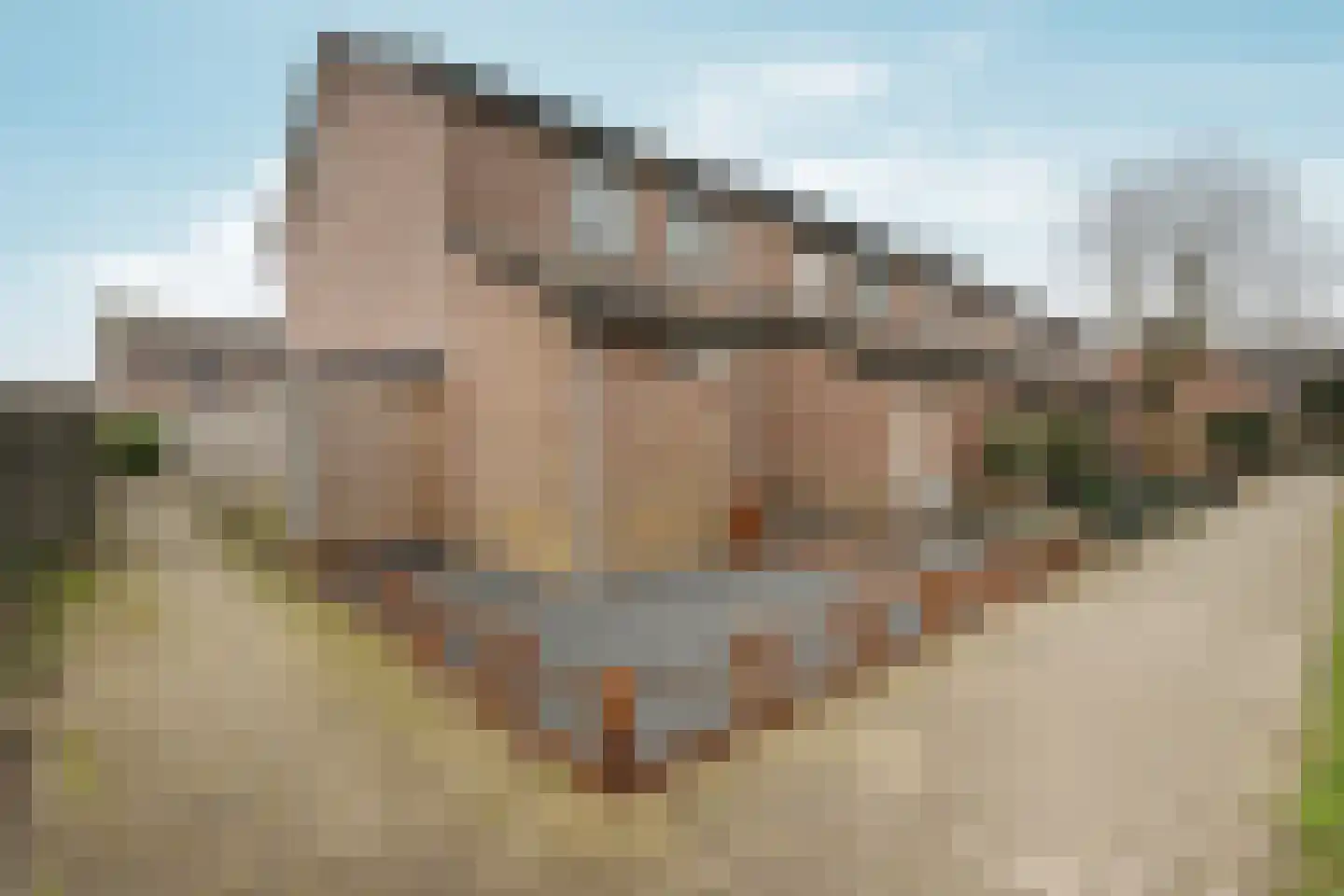 De Bouwert 13 Heteren thumbnail 42