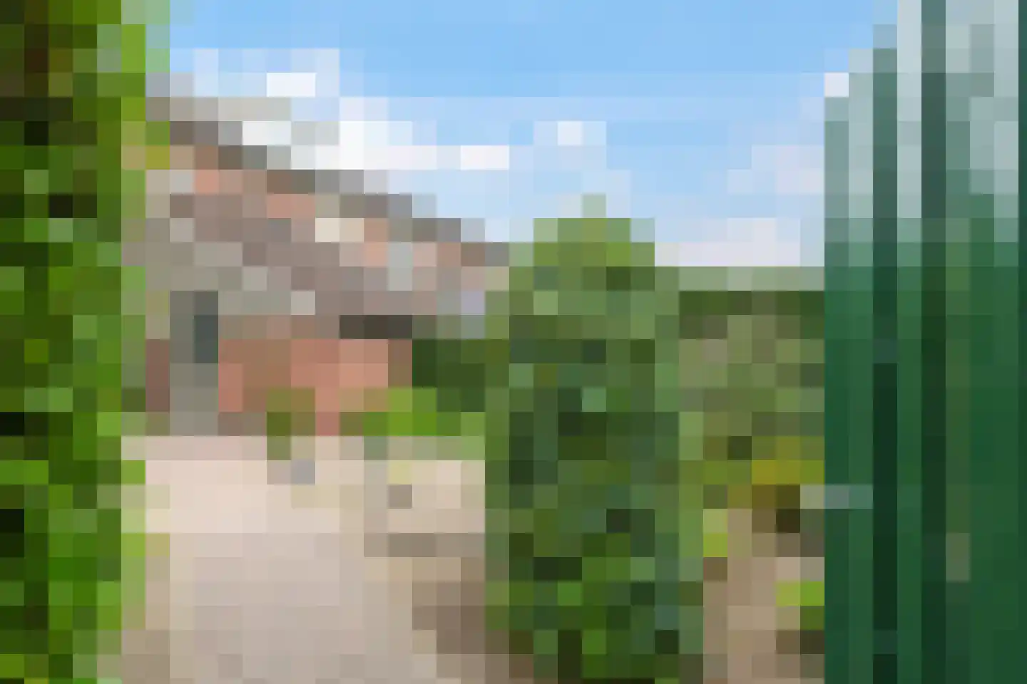 De Bouwert 24 Heteren thumbnail 59