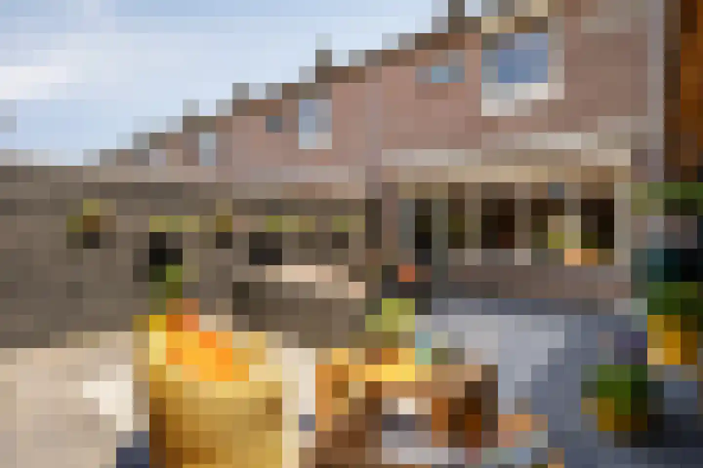 De Bouwert 49 Heteren thumbnail 33
