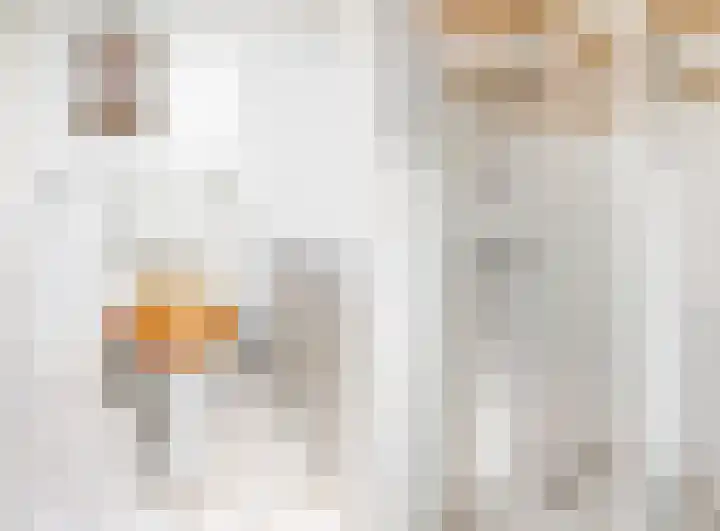 De Bouwert 8 Heteren thumbnail 15