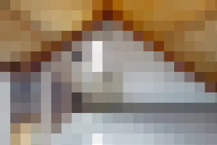 De Bouwert 8 Heteren thumbnail 18