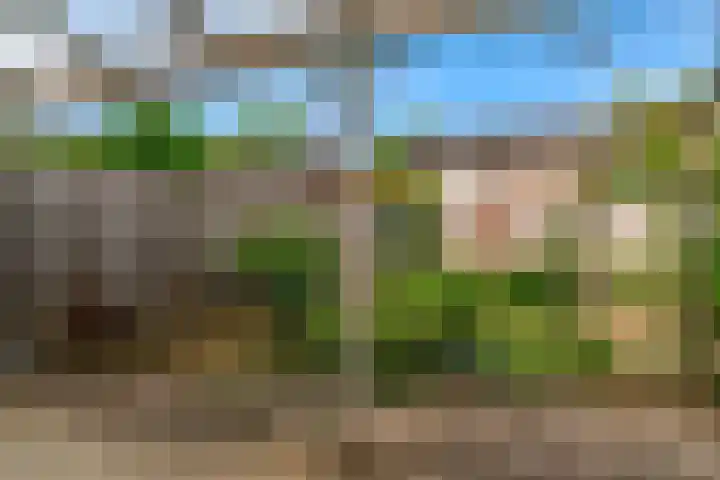 De Bouwert 8 Heteren thumbnail 19