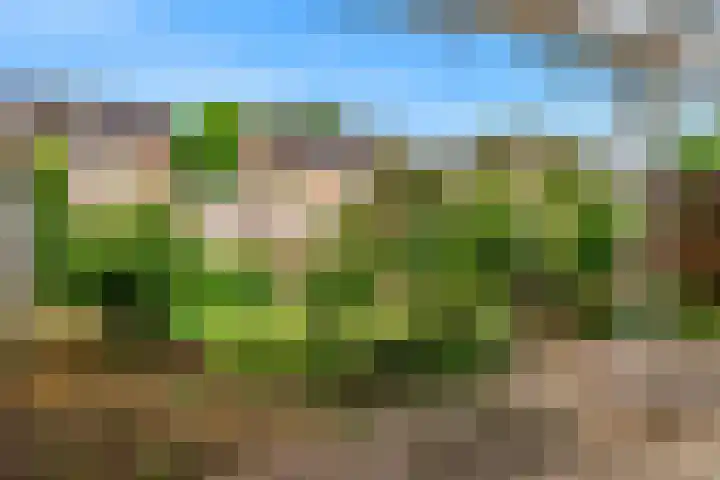 De Bouwert 8 Heteren thumbnail 20