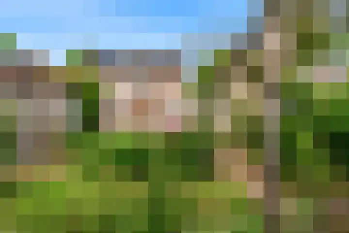 De Bouwert 8 Heteren thumbnail 21