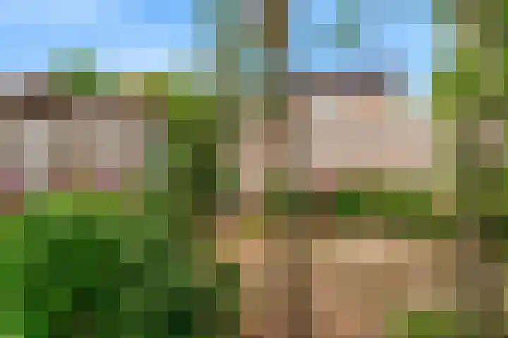 De Bouwert 8 Heteren thumbnail 23