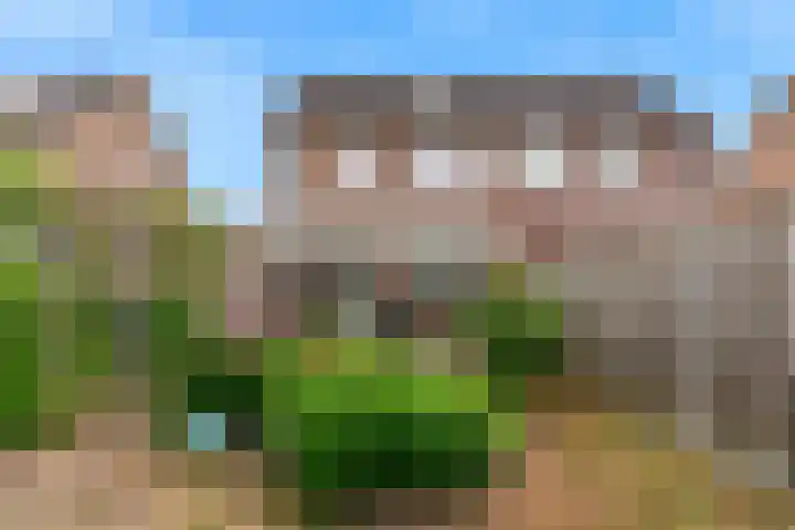 De Bouwert 8 Heteren thumbnail 25