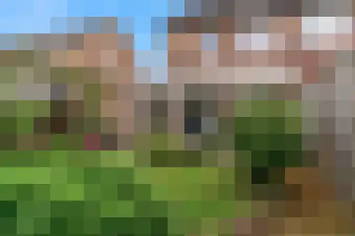 De Bouwert 8 Heteren thumbnail 26