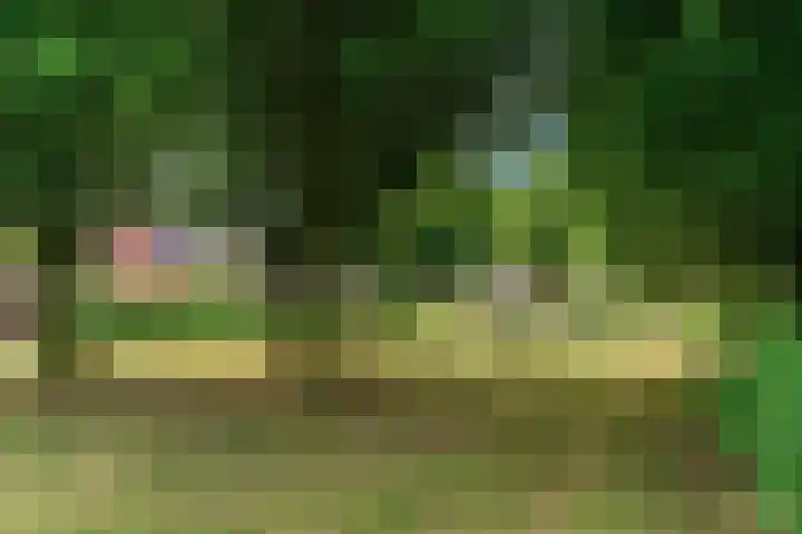 De Bouwert 8 Heteren thumbnail 28
