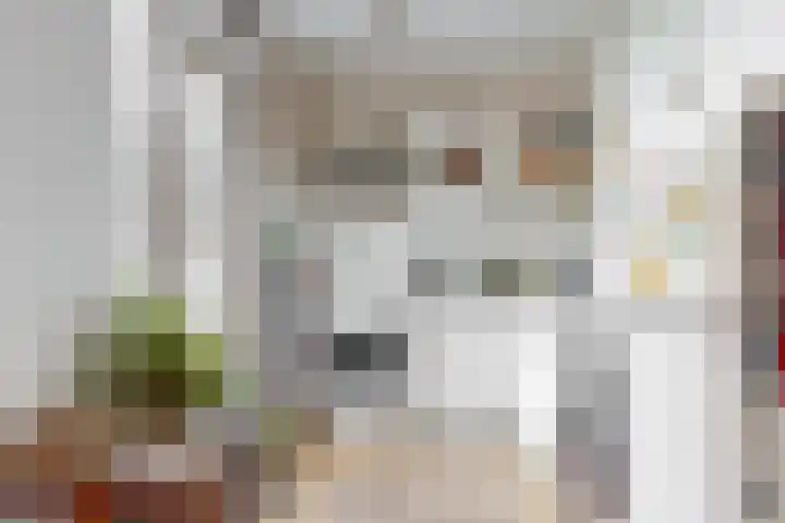 De Bouwert 8 Heteren thumbnail 6
