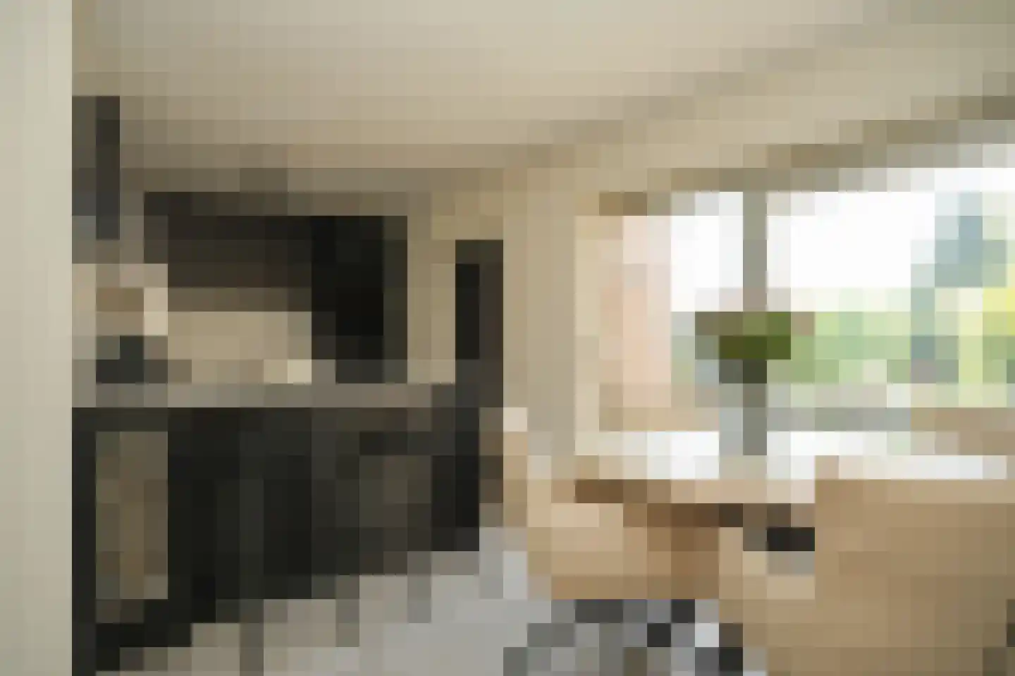 de Bouwing 25 Dreumel thumbnail 12