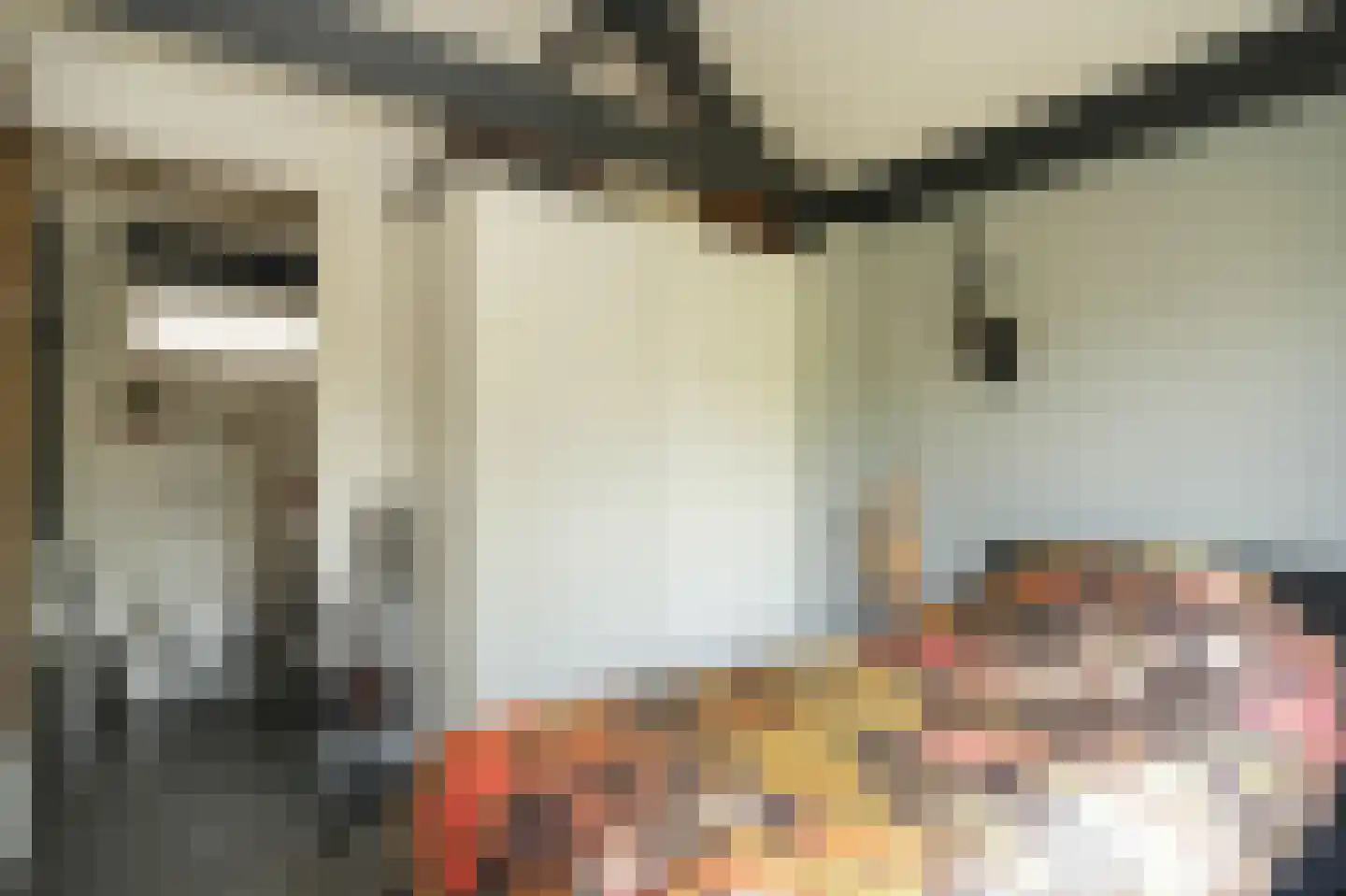 de Bouwing 25 Dreumel thumbnail 19