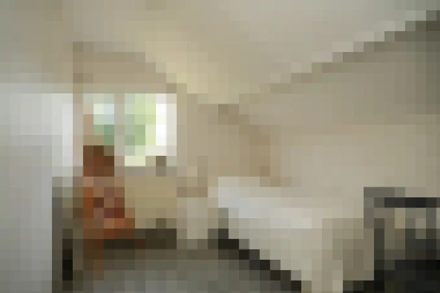 de Bouwing 25 Dreumel thumbnail 27