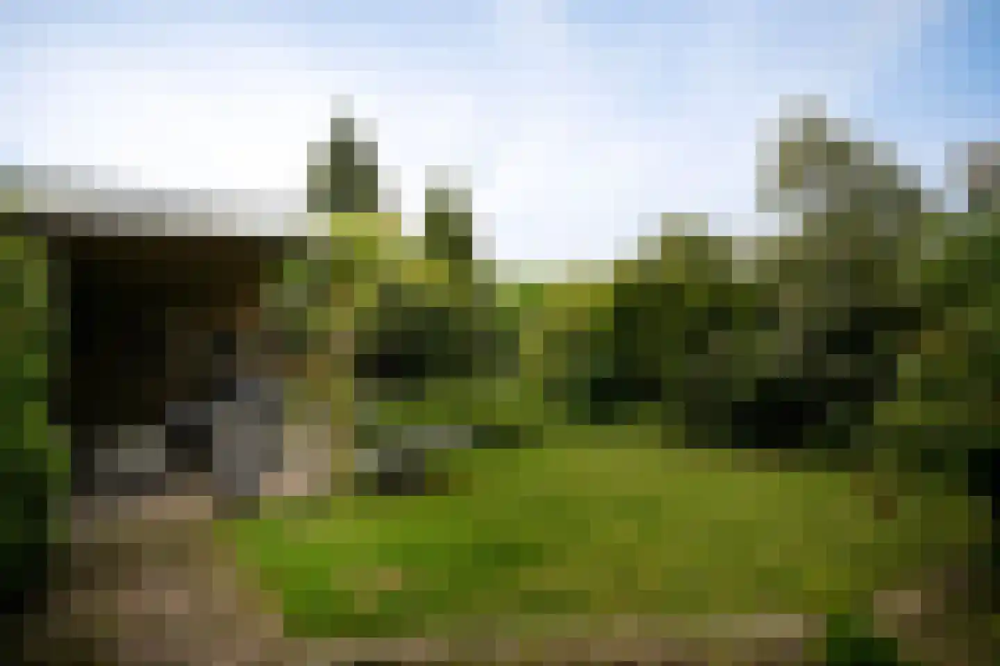 de Bouwing 25 Dreumel thumbnail 31