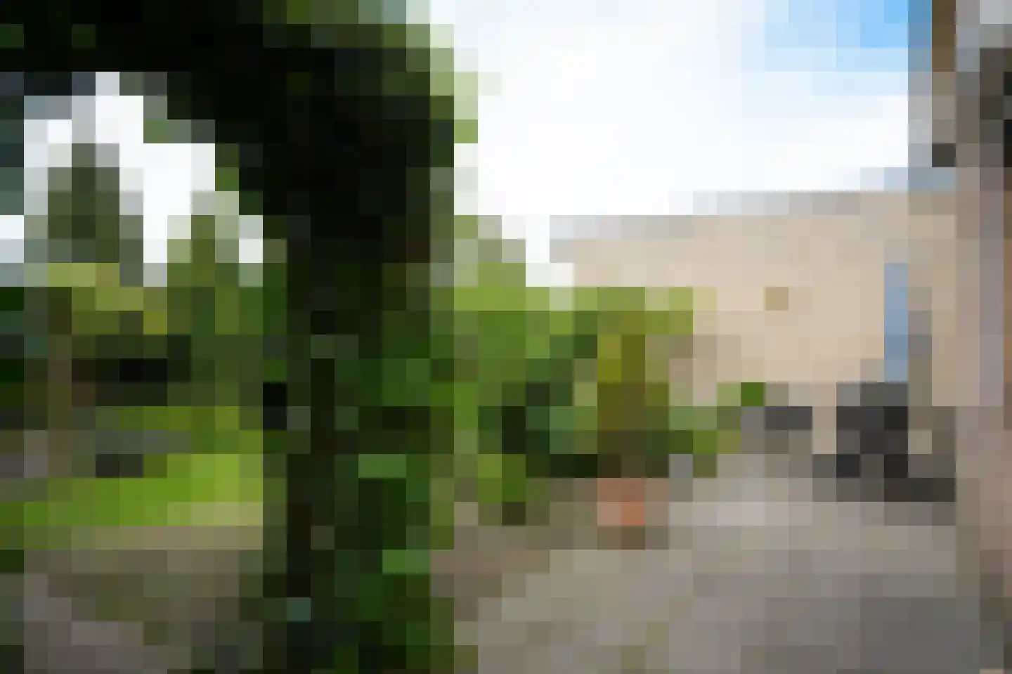 de Bouwing 25 Dreumel thumbnail 34