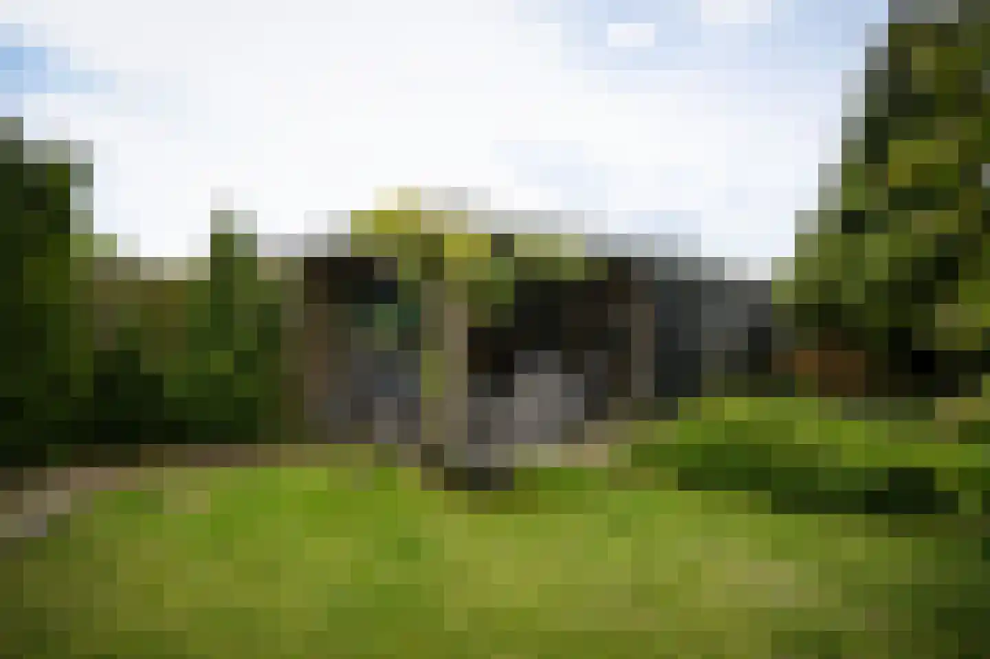 de Bouwing 25 Dreumel thumbnail 38