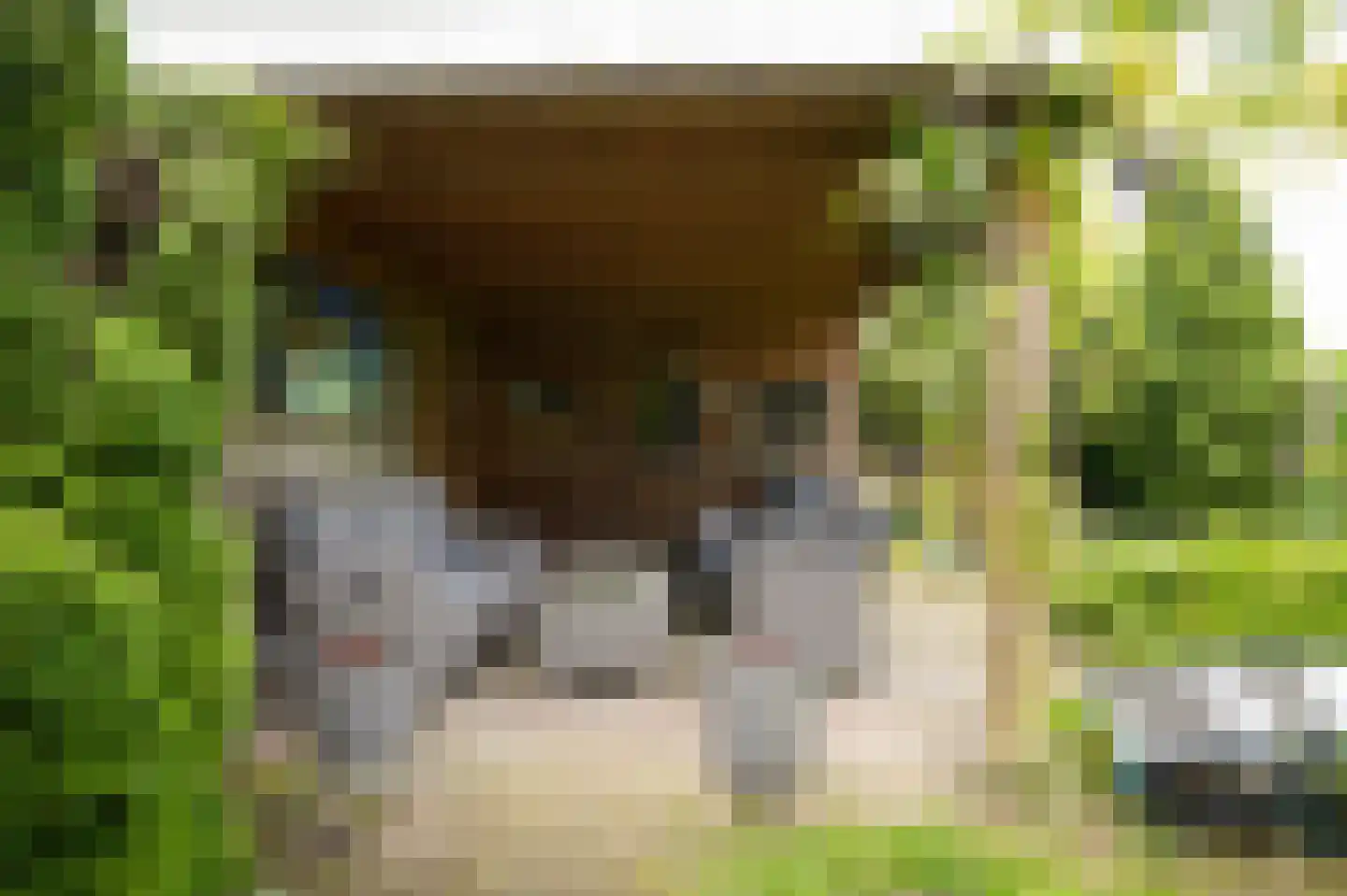 de Bouwing 25 Dreumel thumbnail 39