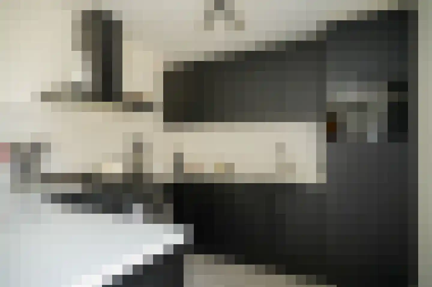 de Bouwing 25 Dreumel thumbnail 4