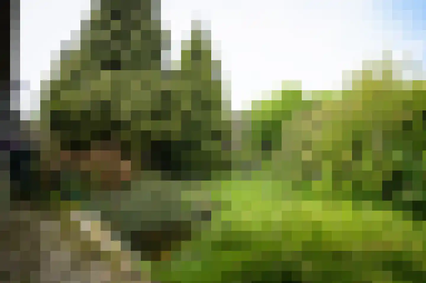de Bouwing 25 Dreumel thumbnail 40