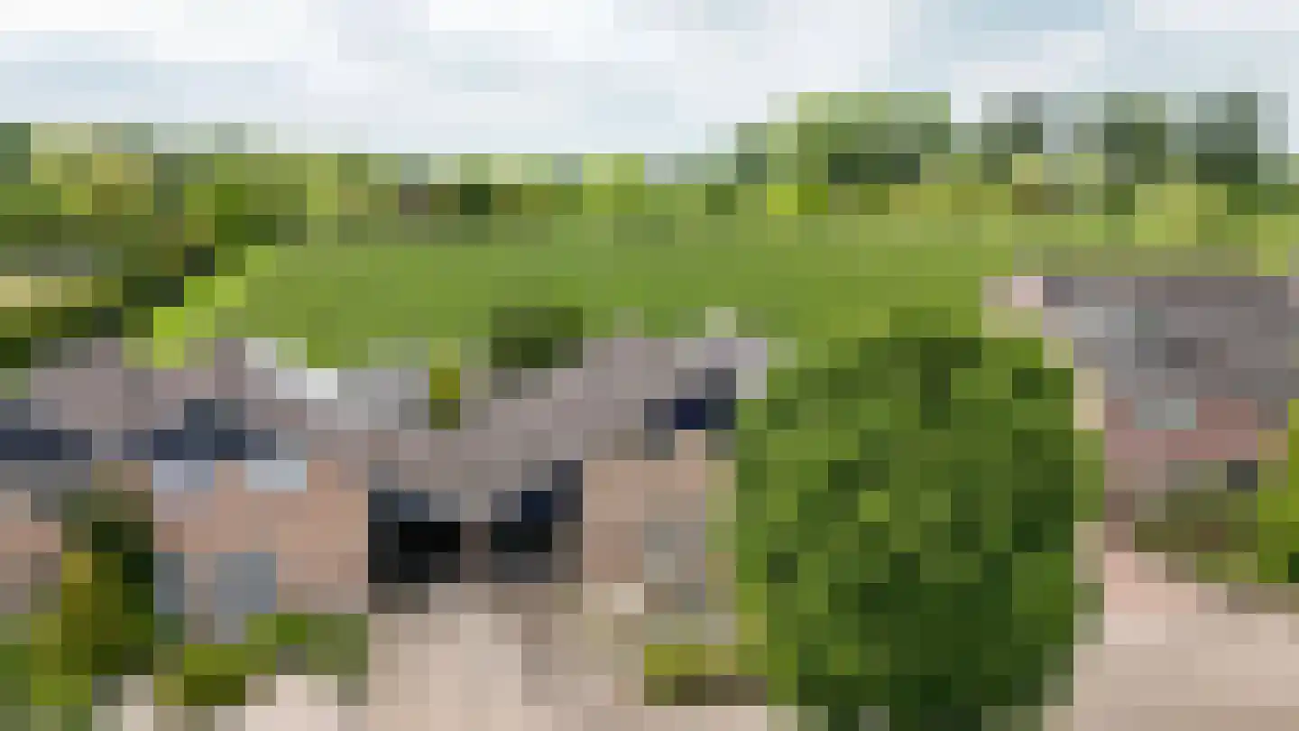 de Bouwing 25 Dreumel thumbnail 47
